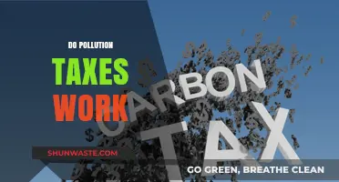 Pollution Taxes: Effective Solution or Money Maker?