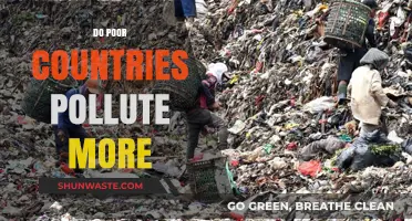 Poor Countries: Polluters or Victims?