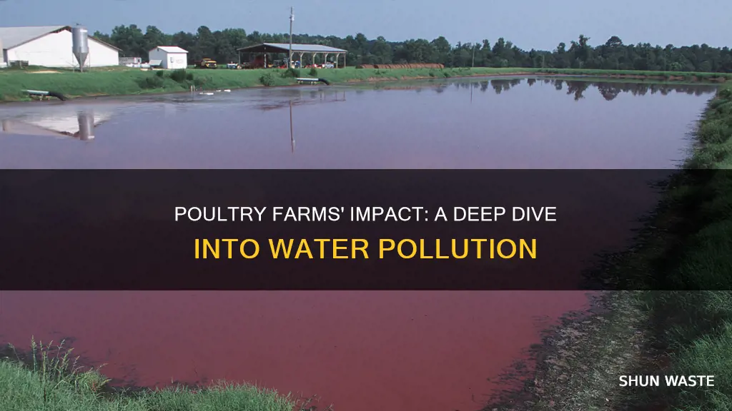 do poultry farms pollute water