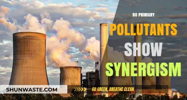 Primary Pollutants: Synergistic Effects and Impacts
