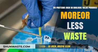 High Biological Value Proteins: Waste Production Impact Explained
