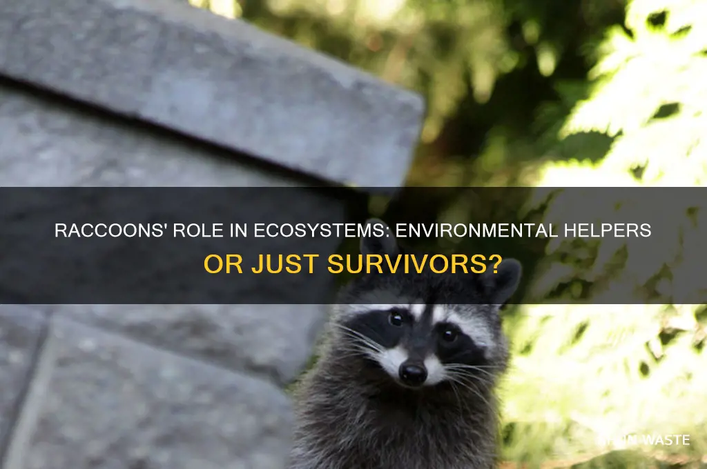 do raccoons help the environment