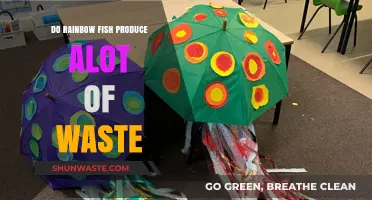 Do Rainbow Fish Produce Excessive Waste? A Comprehensive Guide