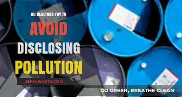 Realtors and Pollution: What They Don't Want You to Know