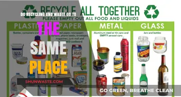 Recycling vs. Waste: Do They Share the Same Destination?