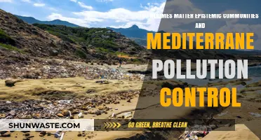 Epistemic Communities: Regime Change and Pollution Control