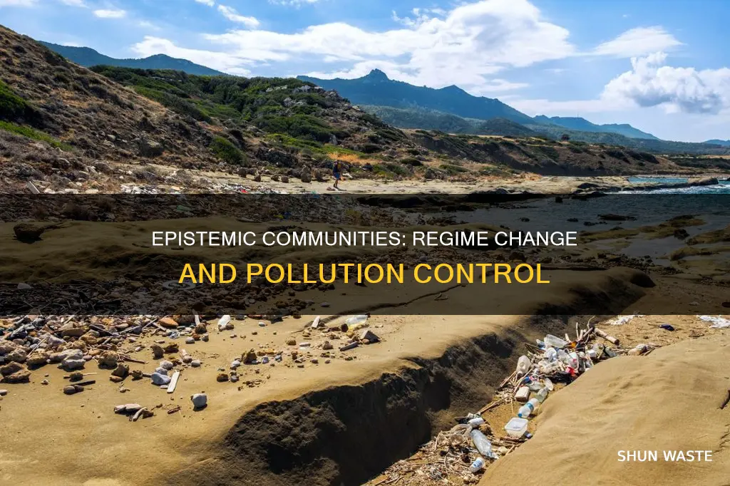 do regimes matter epistemic communities and mediterranean pollution control