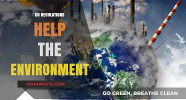 Environmental Regulations: Do They Truly Benefit Our Planet's Health?