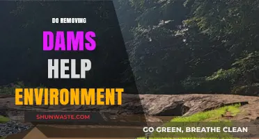 Removing Dams: Unlocking Rivers' Potential for Environmental Restoration and Revival