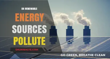 Renewable Energy Sources: Pollution-Free Power?