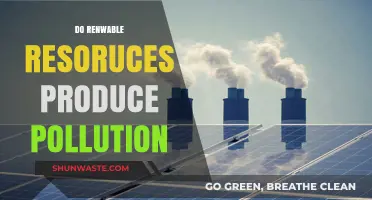 Renewable Resources: Pollution-Free or Not?
