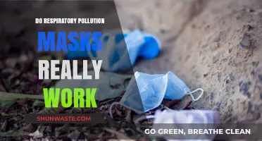 Respiratory Masks: Effective Shield Against Pollution?