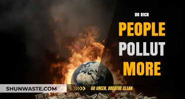 Wealth and Emissions: Who Pollutes More?
