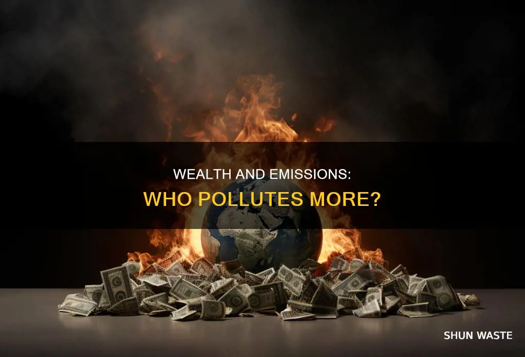 do rich people pollut more