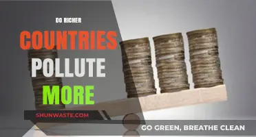 Wealth and Pollution: A Global Conundrum