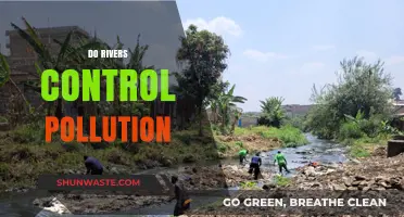 Rivers: Pollution Control and Management