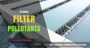 Rivers: Filtering Pollutants?