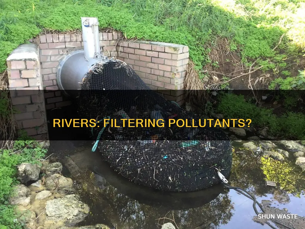 do rivers filter pollutants