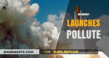 Rocket Launches: Polluters or Green Energy?
