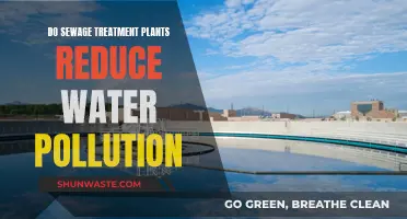 Sewage Treatment Plants: Effective Water Pollution Solution?