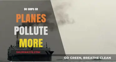 Planes vs Ships: Who's the Bigger Polluter?