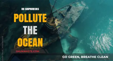 Shipwrecks' Pollution Legacy: Ocean Impact and Solutions