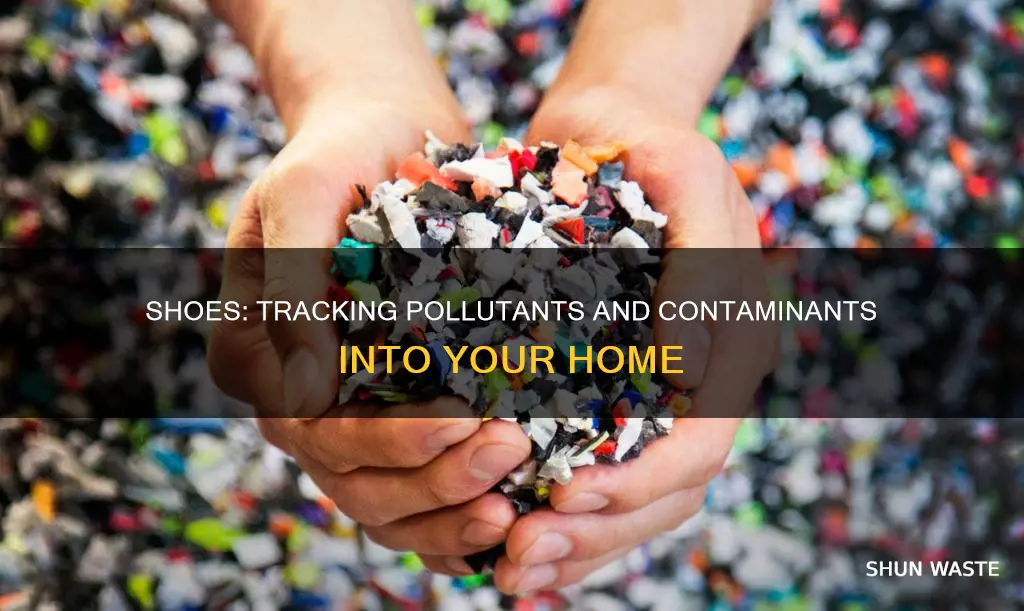 do shoes bring in pollutants into the home from outside