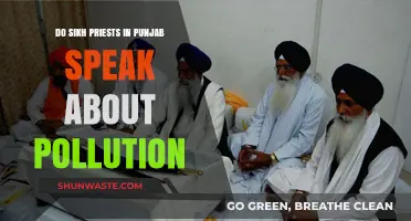 Punjab's Sikh Priests Address Pollution Issues