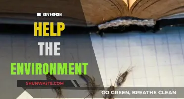 Silverfish: Unsung Heroes or Pests in Environmental Balance?