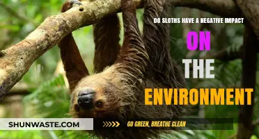 Sloths' Environmental Impact: Debunking Myths and Understanding Their Role