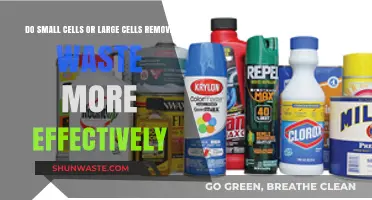 Small vs. Large Cells: Which Removes Waste More Efficiently?