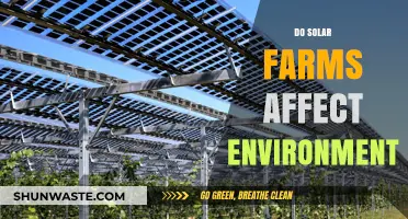 Solar Farms and the Environment: Benefits, Impacts, and Sustainability