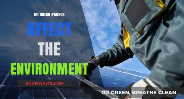 Solar Panels and the Environment: Benefits, Impacts, and Sustainability Explained