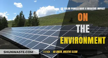 Solar Panels and the Environment: Uncovering Their Hidden Ecological Footprint