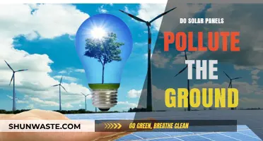 Solar Panels: Earth-Friendly Energy or Polluting Power?