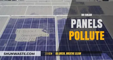 Solar Panels: Clean Energy, but What About Pollution?