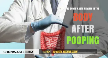 Does Waste Stay Behind After Pooping? Uncovering the Truth Inside Your Body