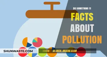 Pollution's Impact: 11 Startling Facts You Need to Know