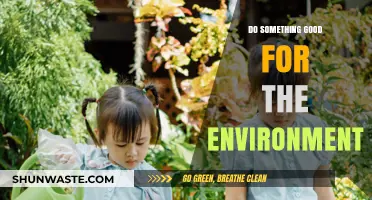 Eco-Friendly Actions: Simple Ways to Protect Our Planet Daily