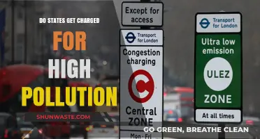 Pollution Costs: Who Pays for State Emissions?