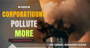 Who Pollutes More: States or Corporations?