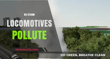 Steam Locomotives: Polluters of the Past?