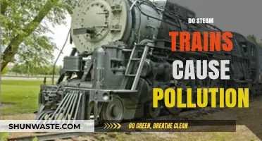 Steam Trains and Their Environmental Impact: A Look at Pollution