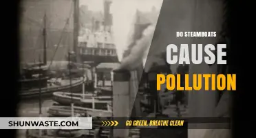 Steamboats and Their Environmental Impact: Navigating the Waters of Pollution