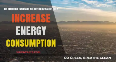 Suburban Energy Consumption: A Pollution Paradox?