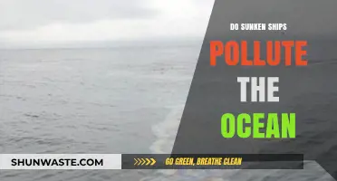 Sunken Ships: Ocean Polluters or Artificial Reefs?