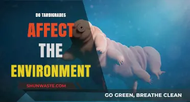 Tardigrades' Environmental Impact: Tiny Creatures, Big Role in Ecosystems?