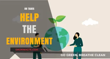 Taxes and the Environment: How Fiscal Policies Drive Sustainability