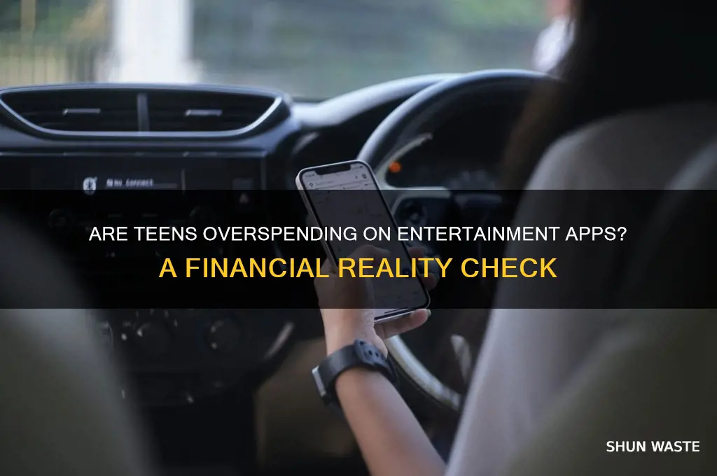 do teen waste money on enterainment app