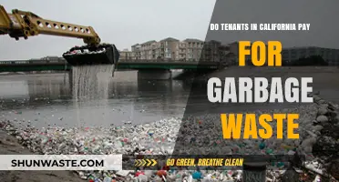 Who Pays for Garbage in California Rentals? Tenant Responsibilities Explained